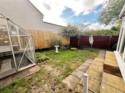 garden 3.jpg